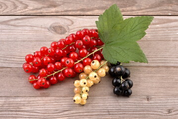 Red, black and white currant on wooden background. - 586054808