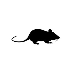 silhouette of a mouse on white background