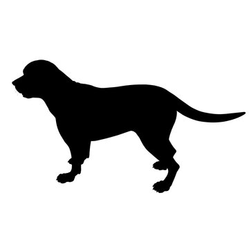 silhouette of a dog vector