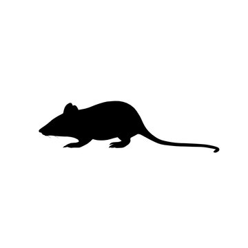 silhouette of a mouse