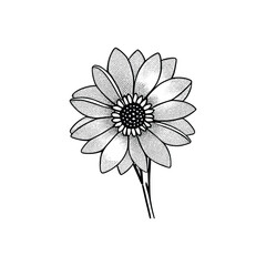 Floral drawing. Art coloring page,using Child Coloring book.