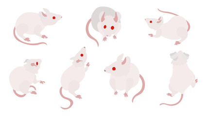 アルビノの白いハツカネズミのイラストセット。フラットなベクターイラスト。
A set of illustrations featuring albino white House mice. Flat designed vector illustration.