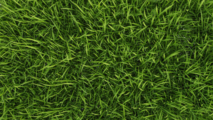 Green grass textured background, 3d render illustration.