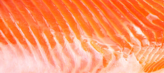 Salmon red fish fillet as a background.