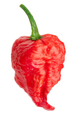 Carolina Reaper pepper or Capsicum chinense fruit isolated. Png transparency