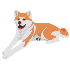 akita dog shiba inu illustration pet