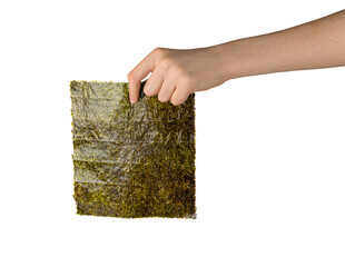 Nori Sheet in Hand Isolated, Dried Aonori Seaweed, Dry Sea Weed, Seaweed Sheets, Nori Seaweed Pieces on White
