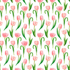Obraz premium Watercolour painted square pattern with opened flowers and buds of pink tulips, detached stems. White background, picture is skillfully made for textile printing, cards, banners