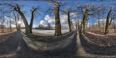 full seamless spherical hdri 360 panorama view on pedestrian walking path among oak grove with...