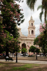 Fototapeta na wymiar Catedral de Salta vista desde la Plaza 9 de Julio, con árboles de flores rosas, una mañana de verano en el centro de la provincia de Salta, Argentina 