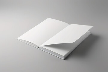 open book with blank pages, mock up