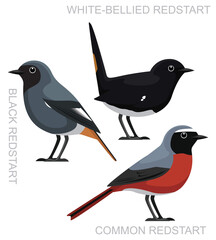 Cute Bird Common Redstart Set Cartoon Vector
