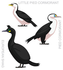 Obraz premium Cute Bird Shag Pied Cormorant Set Cartoon Vector 