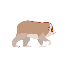 Animal illustration. Walking slow loris drawn in a flat style. Isolated objects on a white background. Vector 10 EPS
