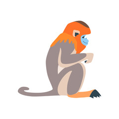 Animal illustration. Sitting golden snub nosed monkey drawn in a flat style. Isolated objects on a white background. Vector 10 EPS