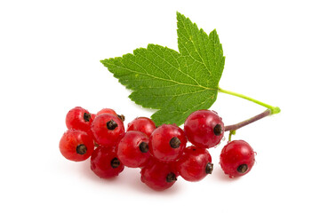 Close up of red currant isolated on white background.