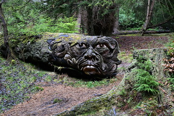 carved face on fallen log