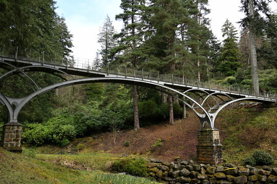 Iron bridge at Cragside