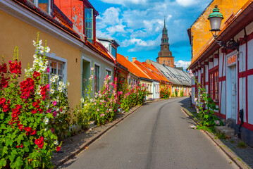 Traditional colorful street in Swedish town Ystad