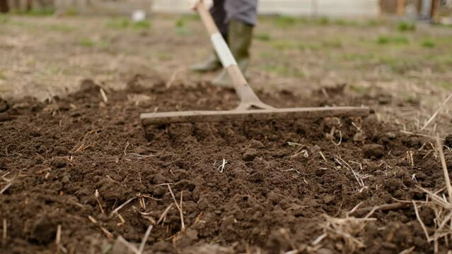 Young woman farmer works with a rake in a field in spring. Preparing the soil before planting. Close-up of a rake in the hands of a woman.