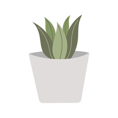 Cactus, Desert spingy plant, green plant in pot, pastel cute plant, vector
