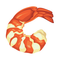 Shrimp Sea Food Crawfish Crayfish Caridean Prawn Vector Illustration Seafood
