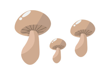 Fototapeta premium Cartoon vector icon illustration of mushroom on white background used for magazine, book, poster, card, menu cover, web pages.