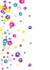 Color Gerbera Background White Vector. Flower Scribble Illustration. Bright Garden Present. Doodle Textile. Simple Blue Daisy.