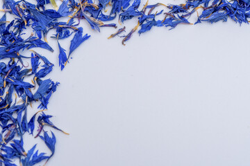 Ramka z niebieskich kwiatow © Paweł Kacperek