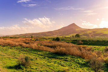 green landscape of spring field with green young grass and amazing hills on background