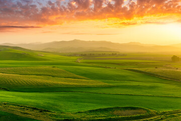 beautiful green valley with green fields with green spring grass with nive hills and mountains and scrnic colorful cloudy sunset on background of landscape