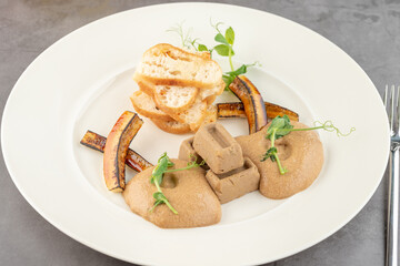 Foie gras with sauce and crispy bread on a white porcelain plate