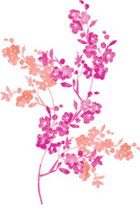 cherry blossom pink flower plant