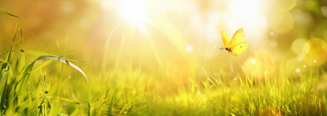 Beautiful colorful natural spring summer background with grass and a fluttering butterfly on a...
