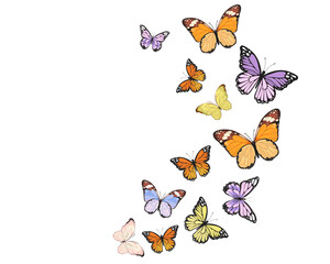 Fototapeta premium butterfly positive quote hand drawn spring