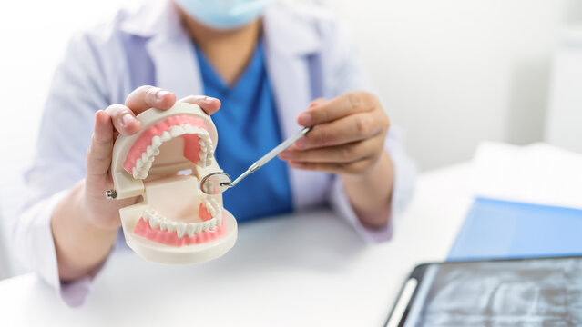 Dentist at dental clinic White healthy tooth with Dental model in oral surgeons discussing jaw x-ray on tablet medicine healthcare oral surgery concept.