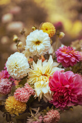 Kompozycja kwiatowa z kwiatów dalii, astrów i hortenji w ogrodzie, bukiet kwiatów, bouquet of flowers - obrazy, fototapety, plakaty