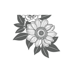 Vector drawing flowers, stylized design, isolated floral elements, hand-drawn illustration, Using Child and Adult coloring page, invitation card.