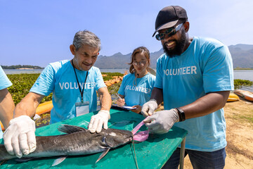 Team of ecologist volunteer pulling non biodegradable micro plastic from the endanger species fish due to the irresponsible waste littering into the ocean for climate change and saving nature concept