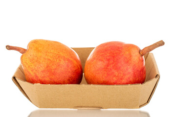 Two organic Bartlett pears in paper dish, macro, isolated on white background.