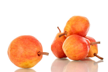 Several organic Bartlett pears, macro, isolated on white background.