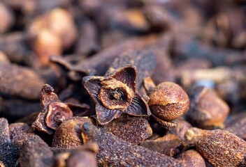 Macro of Dry Clove Isolated on Cloves Heap