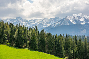 Zbliżenie Tatr wykonane z Polany Szymkówka oddzielone linią lasu na pierwszym planie 