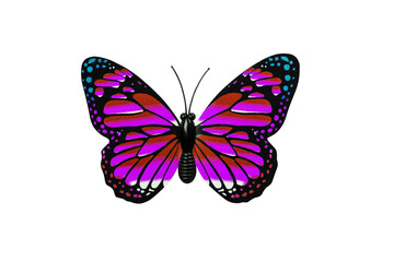 Fototapeta na wymiar Multi colored butterfly isolated on transparent background top view. Red and purple butterfly with blue spots for design.