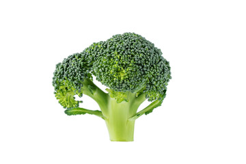 Fresh broccoli isolated on transparent background.  Broccoli cabbage slice for design.