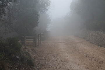 Camino en la Fuente Roja de Alcoy con niebla un dia de otoño