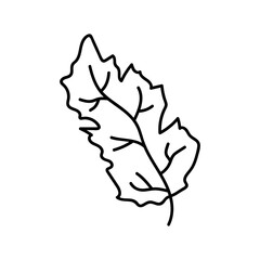 Obraz premium flower line on white background vector illustration using for decoration of text, cards, invitation. Sketch of leaves and flowers.