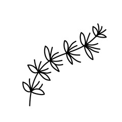 Hand drawn black floral elements on the white background. Floral decorative using for decoration of text, cards, invitation. Sketch of leaves and flowers.