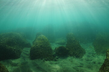 Fototapeta na wymiar Rocks partially buried in sandy bottom in shallow water lit by backlight. Location: Leigh New Zealand