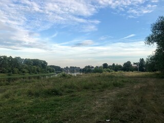 Obraz premium landscape with trees